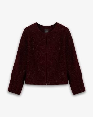 Mini Ceket - Simli Bordo